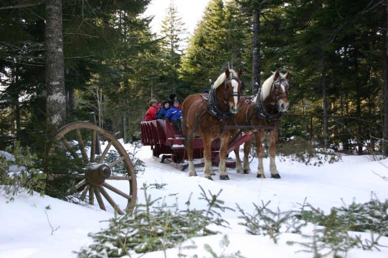 Christmas in Halifax